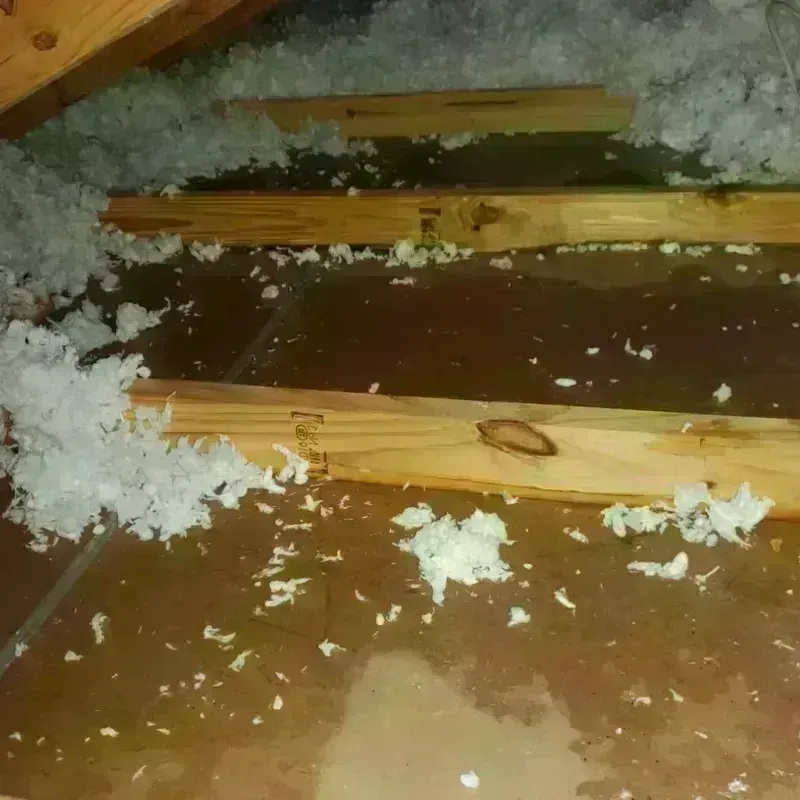 Attic Water Damage in Randolph County, NC